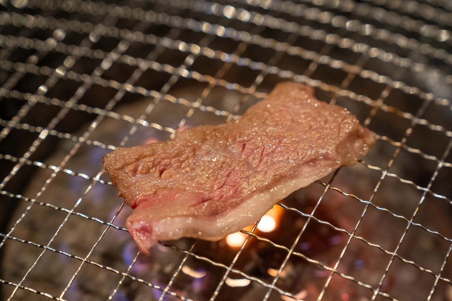 画像7351